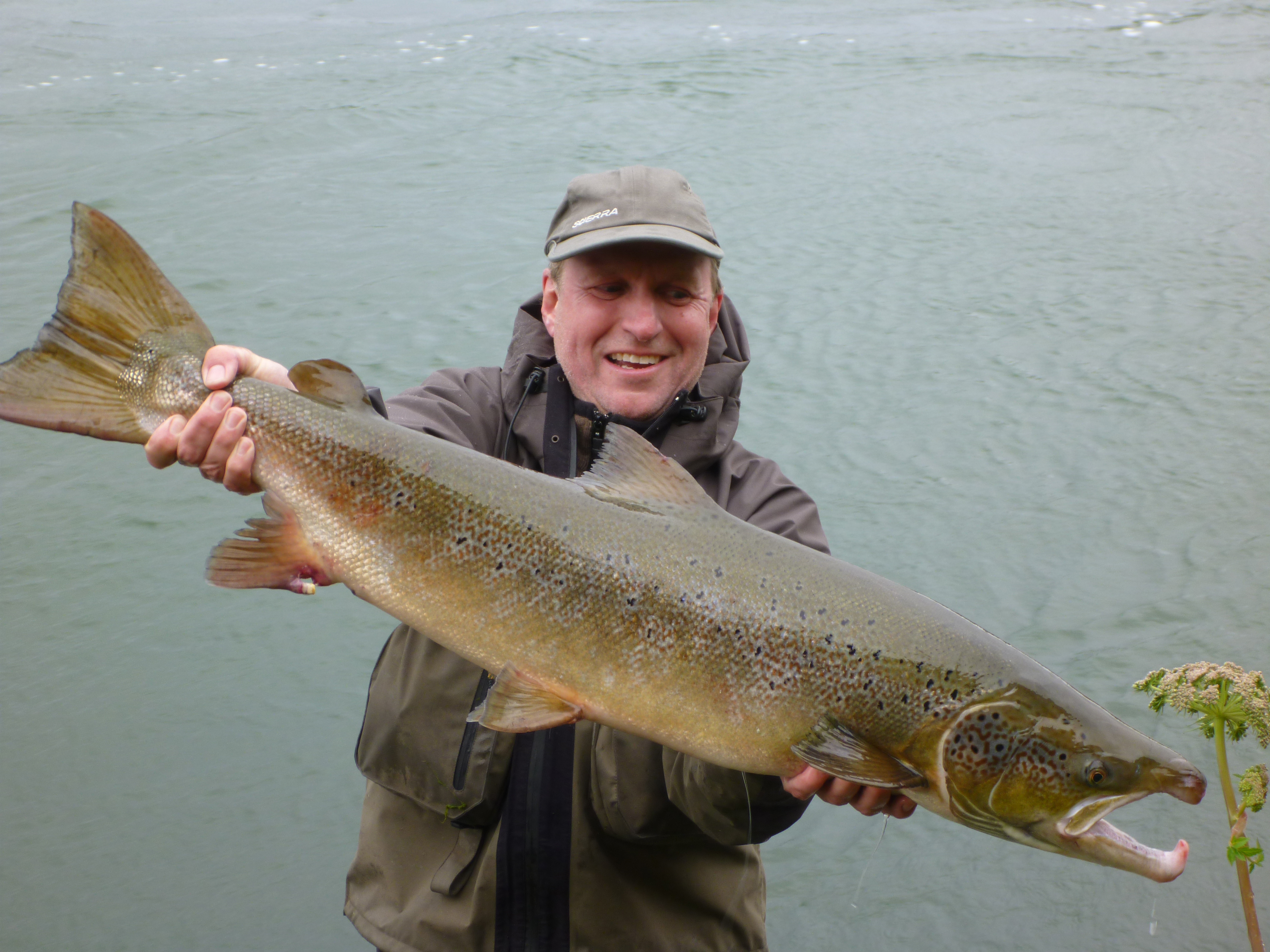 Salmon from river Laxa in Adaldal